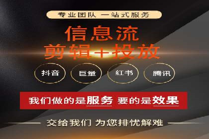 百度竞价与搜索引擎优化（SEO）结合的经典案例